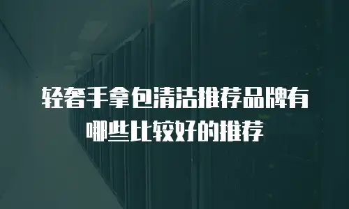 轻奢手拿包清洁推荐品牌有哪些比较好的推荐