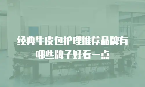 经典牛皮包护理推荐品牌有哪些牌子好看一点