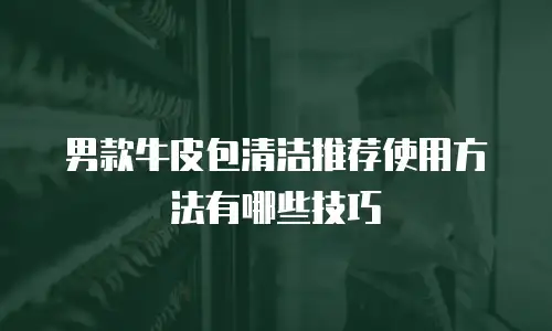 男款牛皮包清洁推荐使用方法有哪些技巧