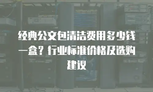 经典公文包清洁费用多少钱一盒？行业标准价格及选购建议