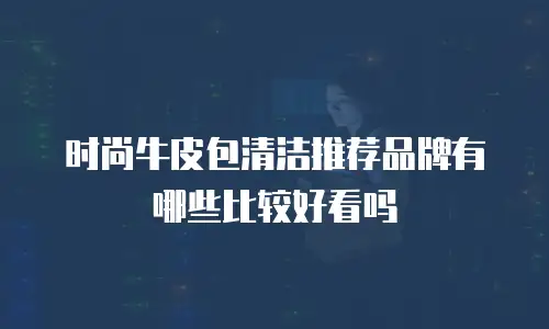 时尚牛皮包清洁推荐品牌有哪些比较好看吗