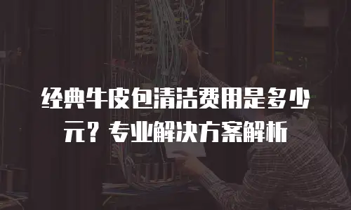 经典牛皮包清洁费用是多少元？专业解决方案解析