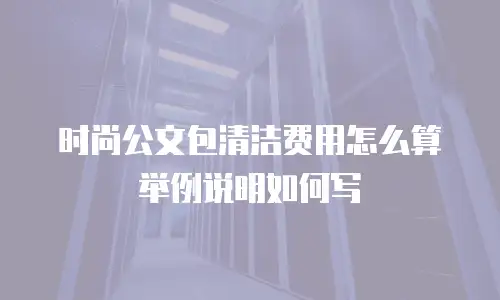 时尚公文包清洁费用怎么算举例说明如何写
