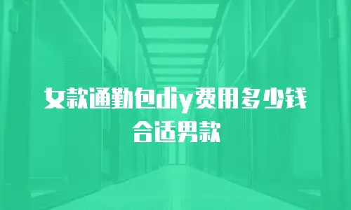 女款通勤包diy费用多少钱合适男款