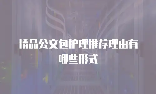 精品公文包护理推荐理由有哪些形式