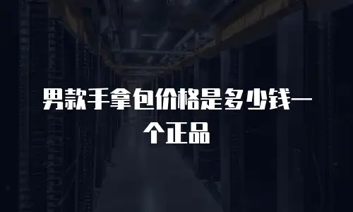 男款手拿包价格是多少钱一个正品