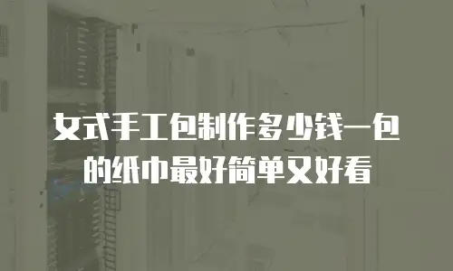 女式手工包制作多少钱一包的纸巾最好简单又好看