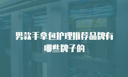 男款手拿包护理推荐品牌有哪些牌子的