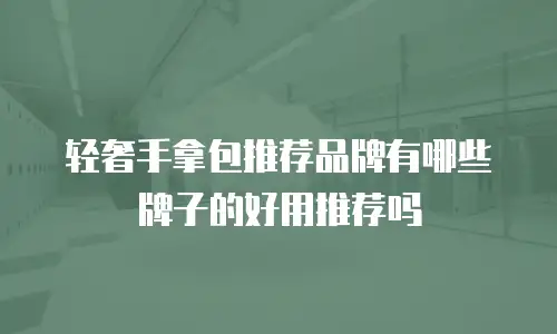 轻奢手拿包推荐品牌有哪些牌子的好用推荐吗