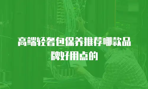 高端轻奢包保养推荐哪款品牌好用点的