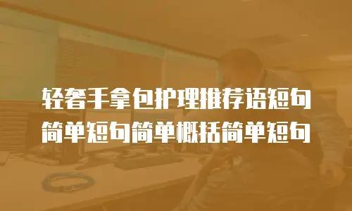 轻奢手拿包护理推荐语短句简单短句简单概括简单短句