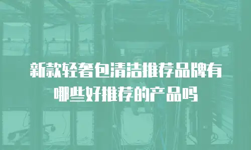 新款轻奢包清洁推荐品牌有哪些好推荐的产品吗