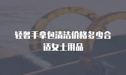 轻奢手拿包清洁价格多少合适女士用品