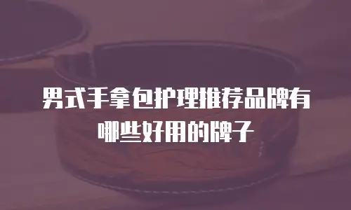男式手拿包护理推荐品牌有哪些好用的牌子