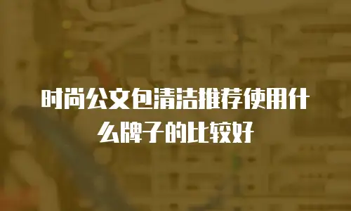 时尚公文包清洁推荐使用什么牌子的比较好
