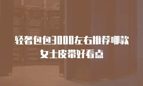 轻奢包包3000左右推荐哪款女士皮带好看点