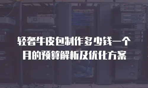 轻奢牛皮包制作多少钱一个月的预算解析及优化方案