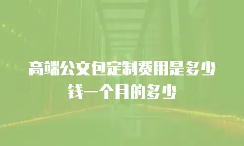 高端公文包定制费用是多少钱一个月的多少