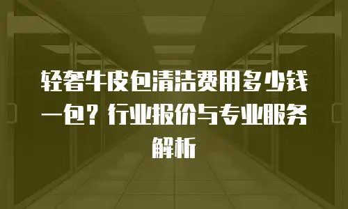 轻奢牛皮包清洁费用多少钱一包？行业报价与专业服务解析