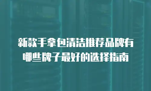 新款手拿包清洁推荐品牌有哪些牌子最好的选择指南