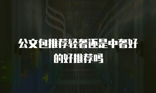 公文包推荐轻奢还是中奢好的好推荐吗