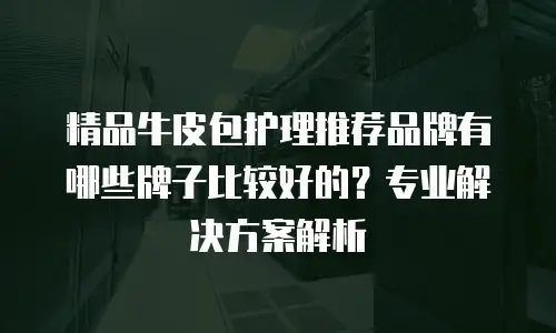 精品牛皮包护理推荐品牌有哪些牌子比较好的？专业解决方案解析