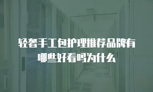 轻奢手工包护理推荐品牌有哪些好看吗为什么
