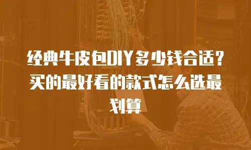 经典牛皮包DIY多少钱合适？买的最好看的款式怎么选最划算