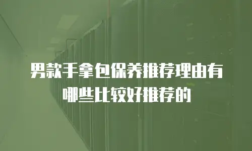 男款手拿包保养推荐理由有哪些比较好推荐的
