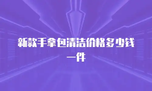 新款手拿包清洁价格多少钱一件
