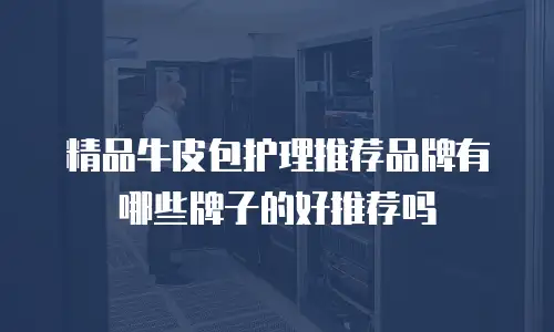 精品牛皮包护理推荐品牌有哪些牌子的好推荐吗