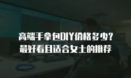 高端手拿包DIY价格多少？最好看且适合女士的推荐