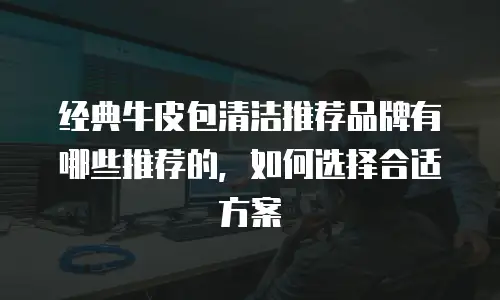经典牛皮包清洁推荐品牌有哪些推荐的，如何选择合适方案
