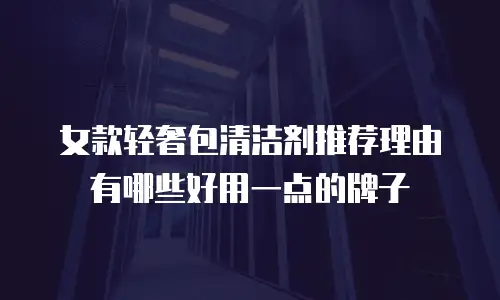 女款轻奢包清洁剂推荐理由有哪些好用一点的牌子