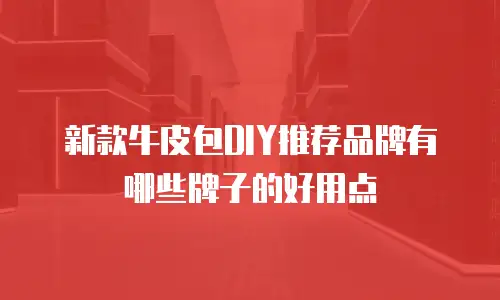 新款牛皮包DIY推荐品牌有哪些牌子的好用点
