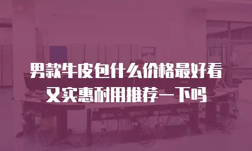 男款牛皮包什么价格最好看又实惠耐用推荐一下吗