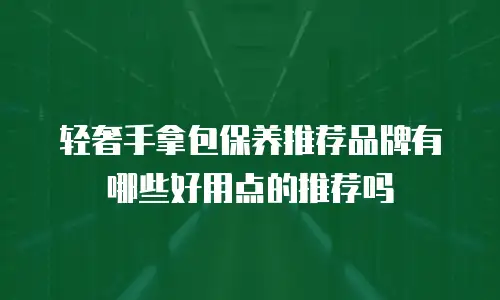 轻奢手拿包保养推荐品牌有哪些好用点的推荐吗
