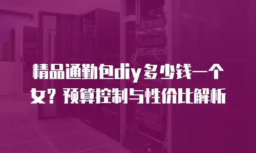 精品通勤包diy多少钱一个女？预算控制与性价比解析