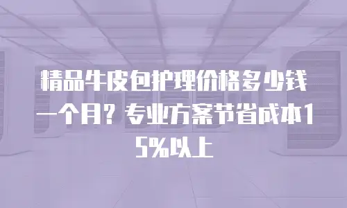 精品牛皮包护理价格多少钱一个月？专业方案节省成本15%以上