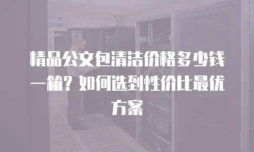 精品公文包清洁价格多少钱一箱？如何选到性价比最优方案