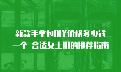 新款手拿包DIY价格多少钱一个 合适女士用的推荐指南