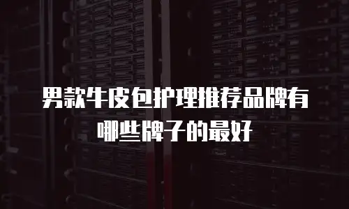 男款牛皮包护理推荐品牌有哪些牌子的最好