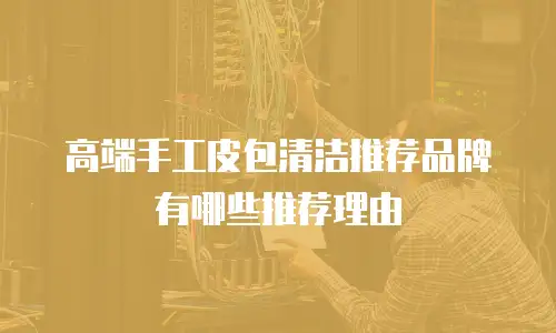 高端手工皮包清洁推荐品牌有哪些推荐理由
