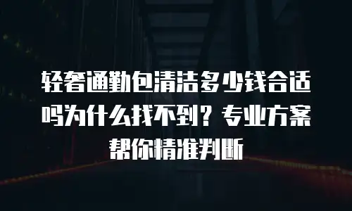 轻奢通勤包清洁多少钱合适吗为什么找不到？专业方案帮你精准判断