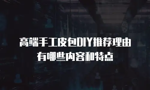 高端手工皮包DIY推荐理由有哪些内容和特点