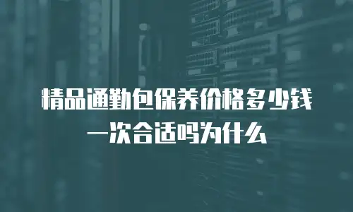 精品通勤包保养价格多少钱一次合适吗为什么