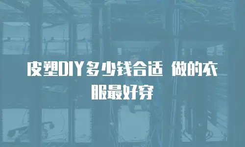 皮塑DIY多少钱合适 做的衣服最好穿