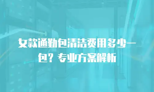 女款通勤包清洁费用多少一包？专业方案解析