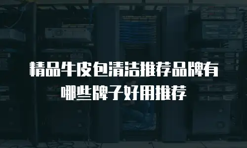 精品牛皮包清洁推荐品牌有哪些牌子好用推荐