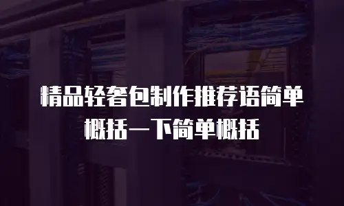 精品轻奢包制作推荐语简单概括一下简单概括